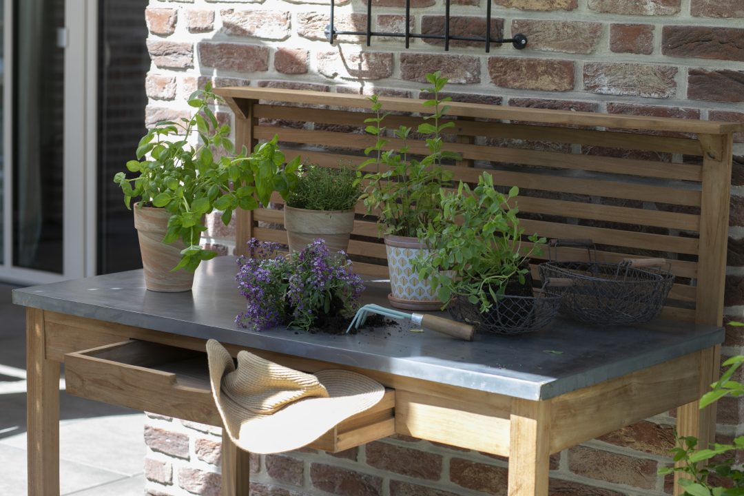 bl26009_pflanztisch_milieu-_1_