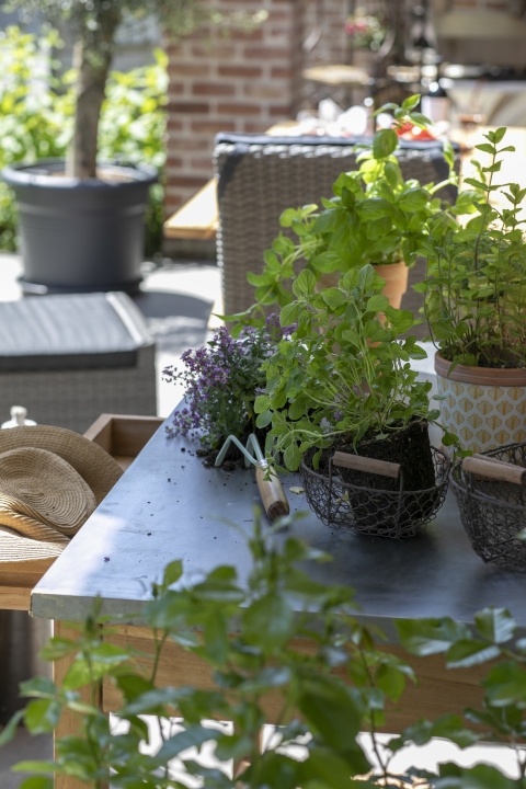 66168_Woodie_Pflanztisch_125x66cm (7)